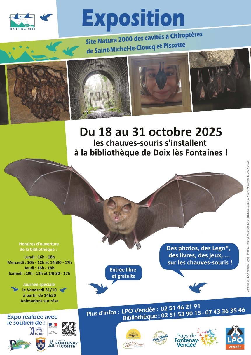 Exposition “Les chauves-souris du sud-Vendée”
