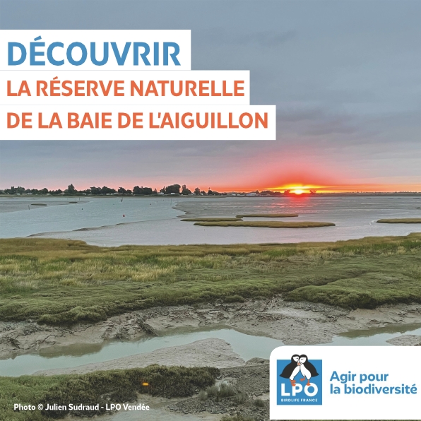 La baie au fil des saisons