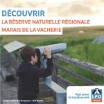 Dortoir des Pigeons colombins