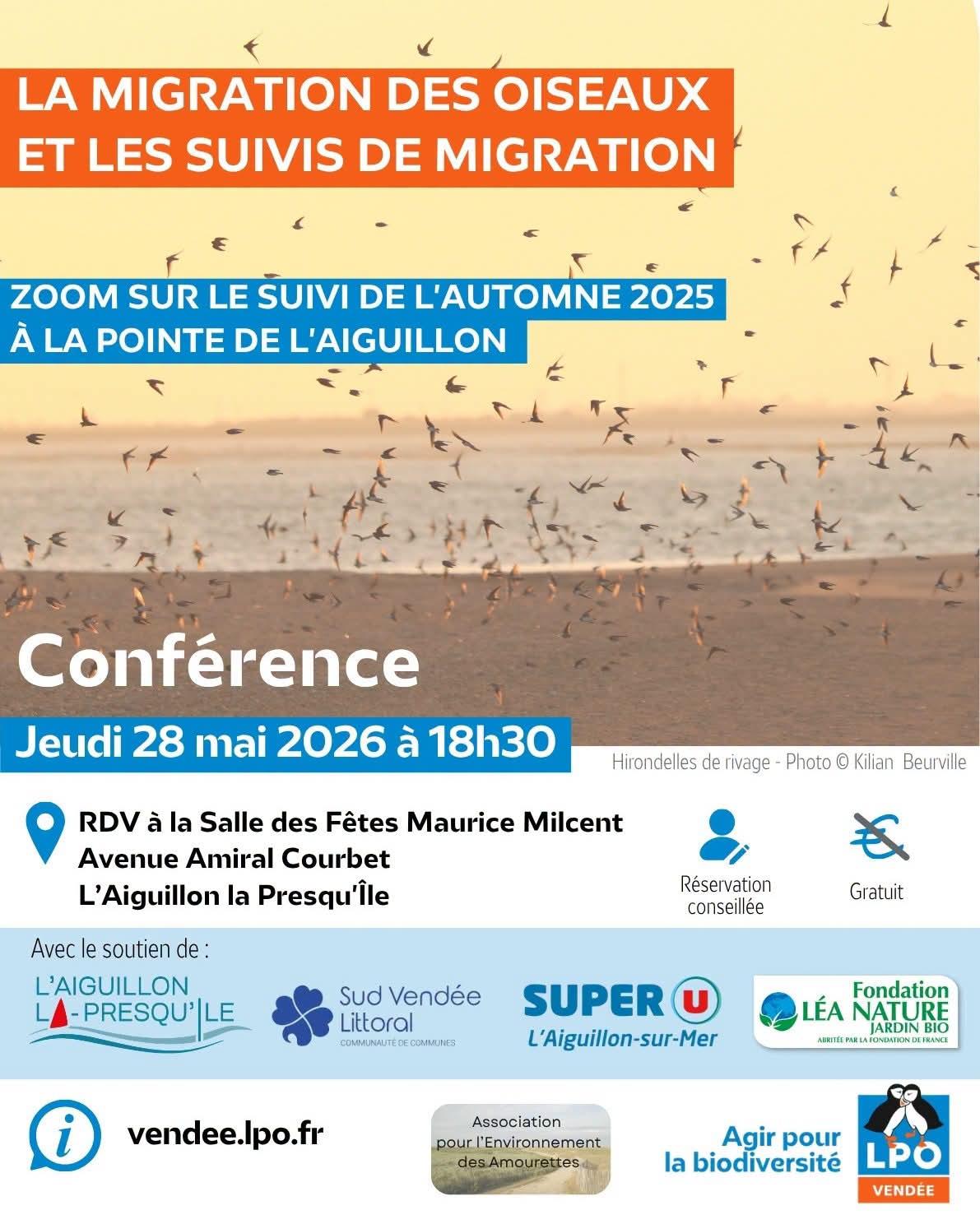 La migration des oiseaux et les suivis de migration - Conférence - jeudi 28 mai - 18h30